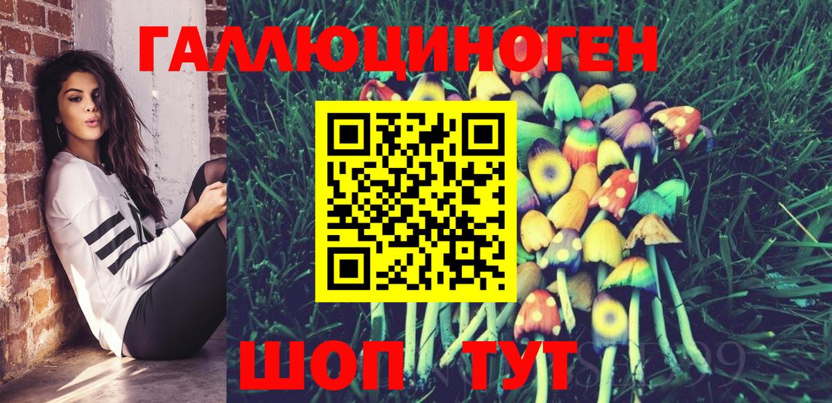 Кинель  Псилоцибиновые грибы мухоморы  где можно купить наркотик  Вход с VPN 